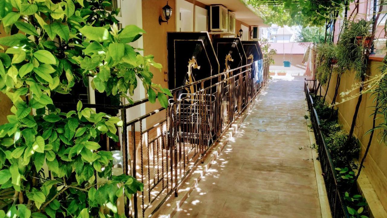 Dracena Guesthouse Ravda Exterior photo